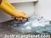 Best Mould Removal Service in Melbourne