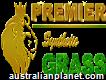 Premier Synthetic Grass