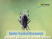Brunswick Spider Control