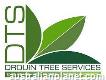 Drouin Tree Services