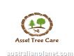 Asset Tree Care