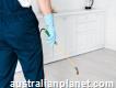 711 Pest Control in Lilydale