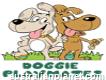 Doggie Playmates Daycare & Grooming Tweed Heads