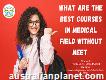 What are the best courses in the medical field wi