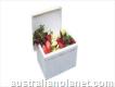 Buy carefully manufactured asparagus boxes at whol