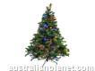 Shop High Quality Christmas Tree to an Elegant Cel