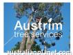 Tree services, tree lopping, tree pruning