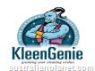 Kleen Genie (cleaning Services)
