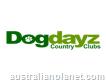 Dog Services - Dogdayz
