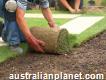 Enhance Your Lawn with Affordable Excellence Lawn