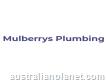 Mulberrys Plumbing