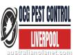 Ocg Pest Control Liverpool