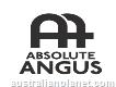 Absolute. . Angus