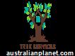 Tree Services Hobart