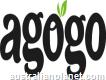 Agogo Foods - Better food to go