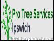 Tree Services Ipswich