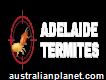 Adelaide Termites