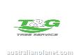 T&g Tree Services