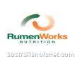 Rumenworks Nutrition