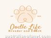 Oodle Life: Pets and Trainer