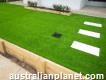 Choose The Perfect Turf Suppliers in Adelaide, Sa