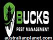 Bugs Pest Management