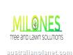 Milones Tree Solutions
