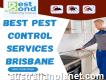 One of the Best Pest Control Services in Brisbane
