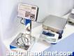 Best Scales for Weighing