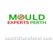 Mould Experts Perth