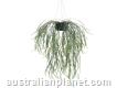 Lifelike 66cm Uv Resistant Willow Leaf Hanging Pla