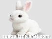 Happy Robot Bunny: A Playful Robotic Friend for Ch