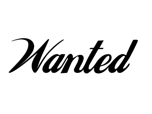 Wanted Shoes